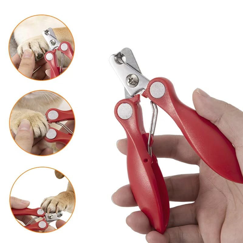 Cat Nail Clipper Usage